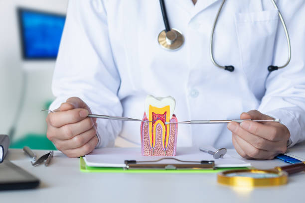 Best Emergency TMJ Treatment in Waverly, VA